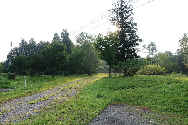 伯耆町 交流の森