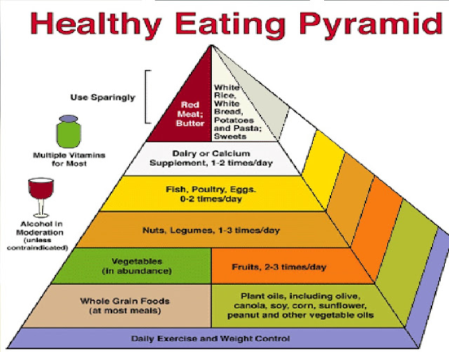 The USDA Pyramid As It Relates To Nutritional Supplements