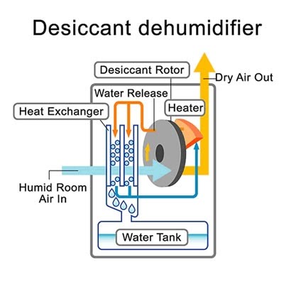 This mini dehumidifier will also help in air purification and removal of 