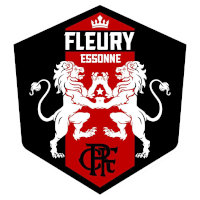 FOOTBALL CLUB FLEURY 91