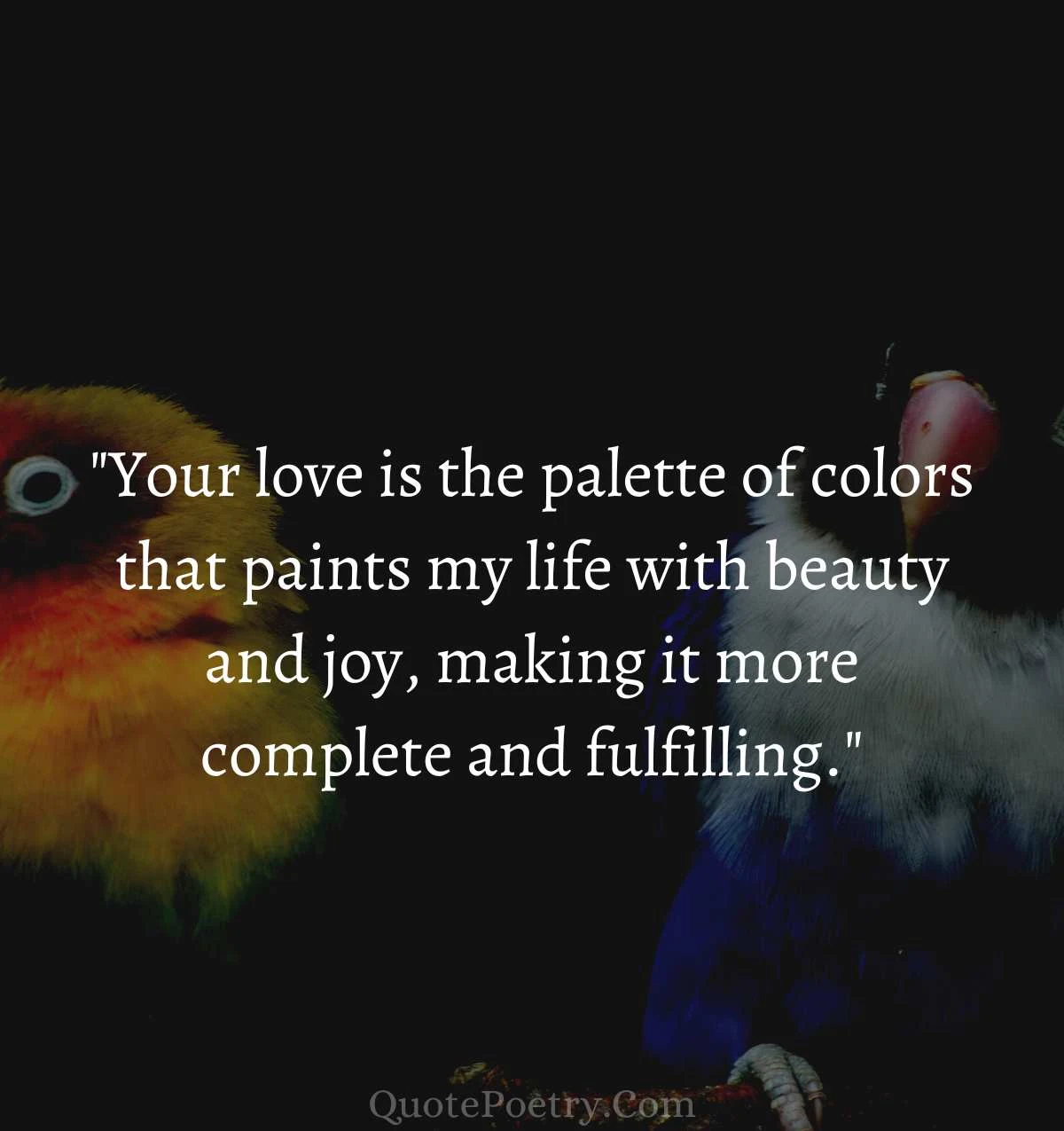 You Bring color To My  Life Quotes