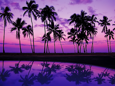hawaii beaches wallpaper. each sunset wallpaper hd.