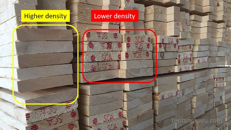 susunan penampang kayu menunjukkan density