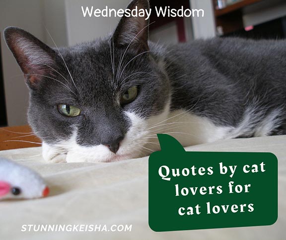 CK Presents More Wednesday Wisdom