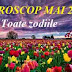 Horoscop mai 2020: Toate zodiile