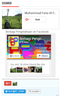 Gambar Model Keempat Membuat Widget 3 in 1 (Fanspage FB, Google+, Follower Twitter)