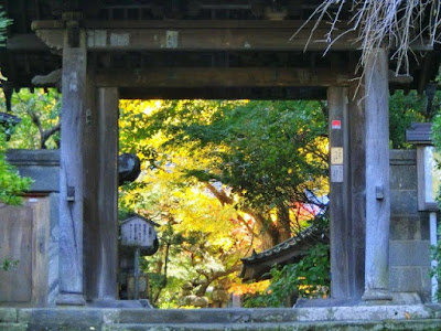  安国論寺の紅葉・黄葉