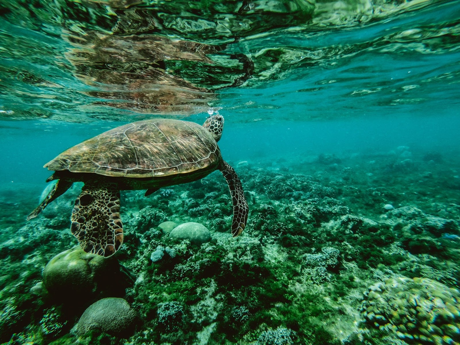 10 Gambar Pemandangan Laut Yang Indah