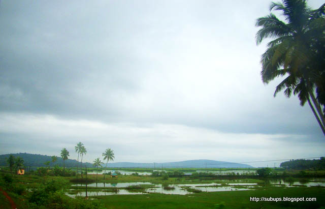 Konkan Scenery