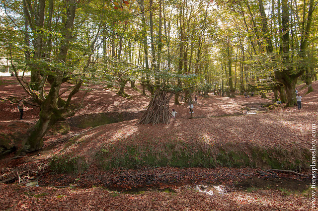 Hayedo de Otzarreta otoño euskadi senderismo excursiones