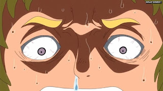 ワンピースアニメ パンクハザード編 591話 シンド | ONE PIECE Episode 591