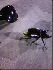 Photo0021
