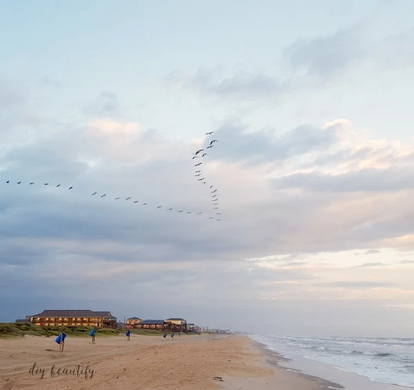 the beach at Surfside