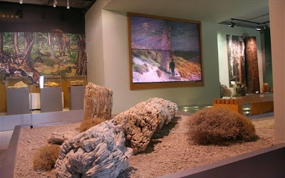 Έκθεση με νέα σημαντικά ευρήματα στο Μουσείο Απολιθωμένου Δάσους Λέσβου