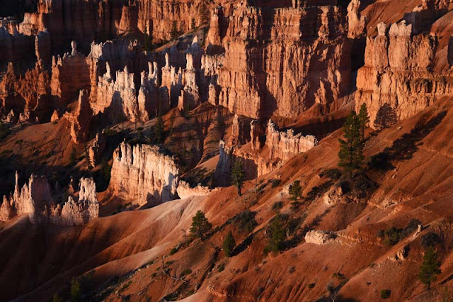 Sunrise on Bryce Canyon