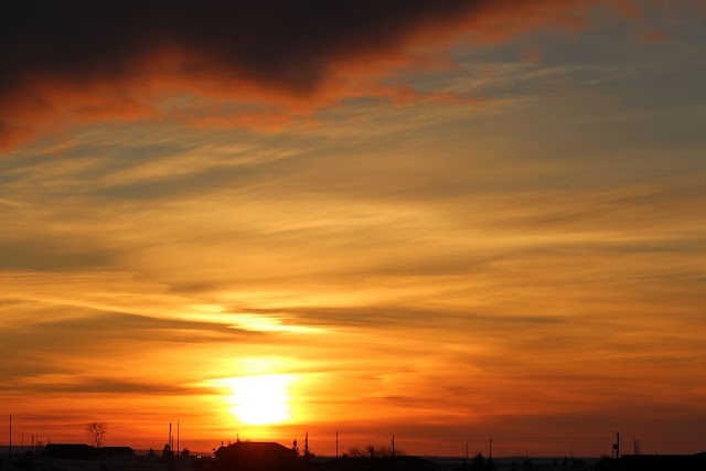 Beautiful orange sunset