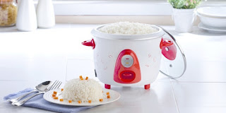 Ini alasan mengapa memasak nasi pakai rice cooker mudah basi