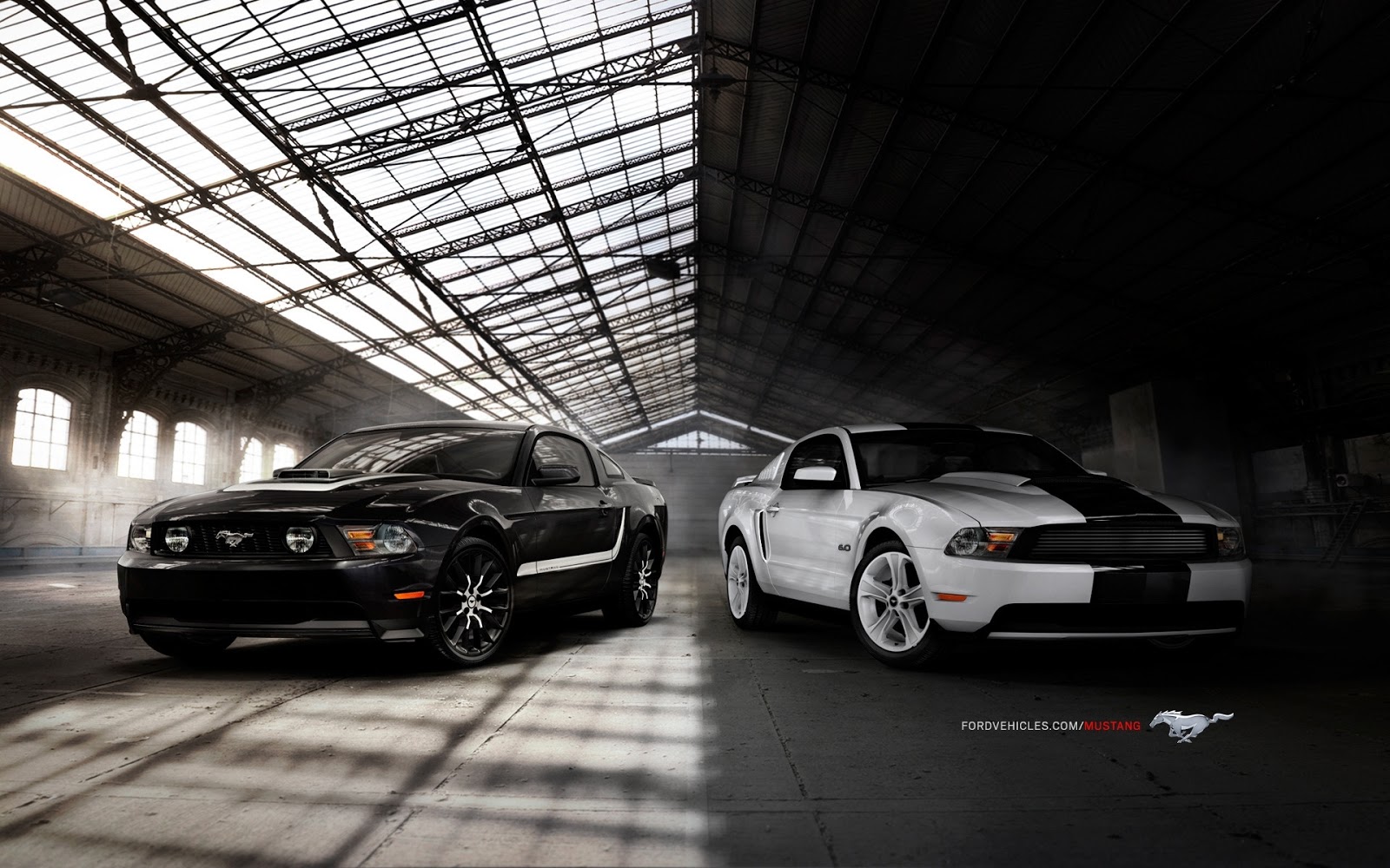 10+ Ford Mustang HD Wallpapers  Download HD Wallpapers