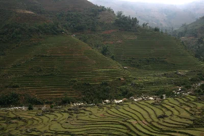 Hình gởi bè bạn coi cho vui (PTT). Pleiku phố núi và bạn bè