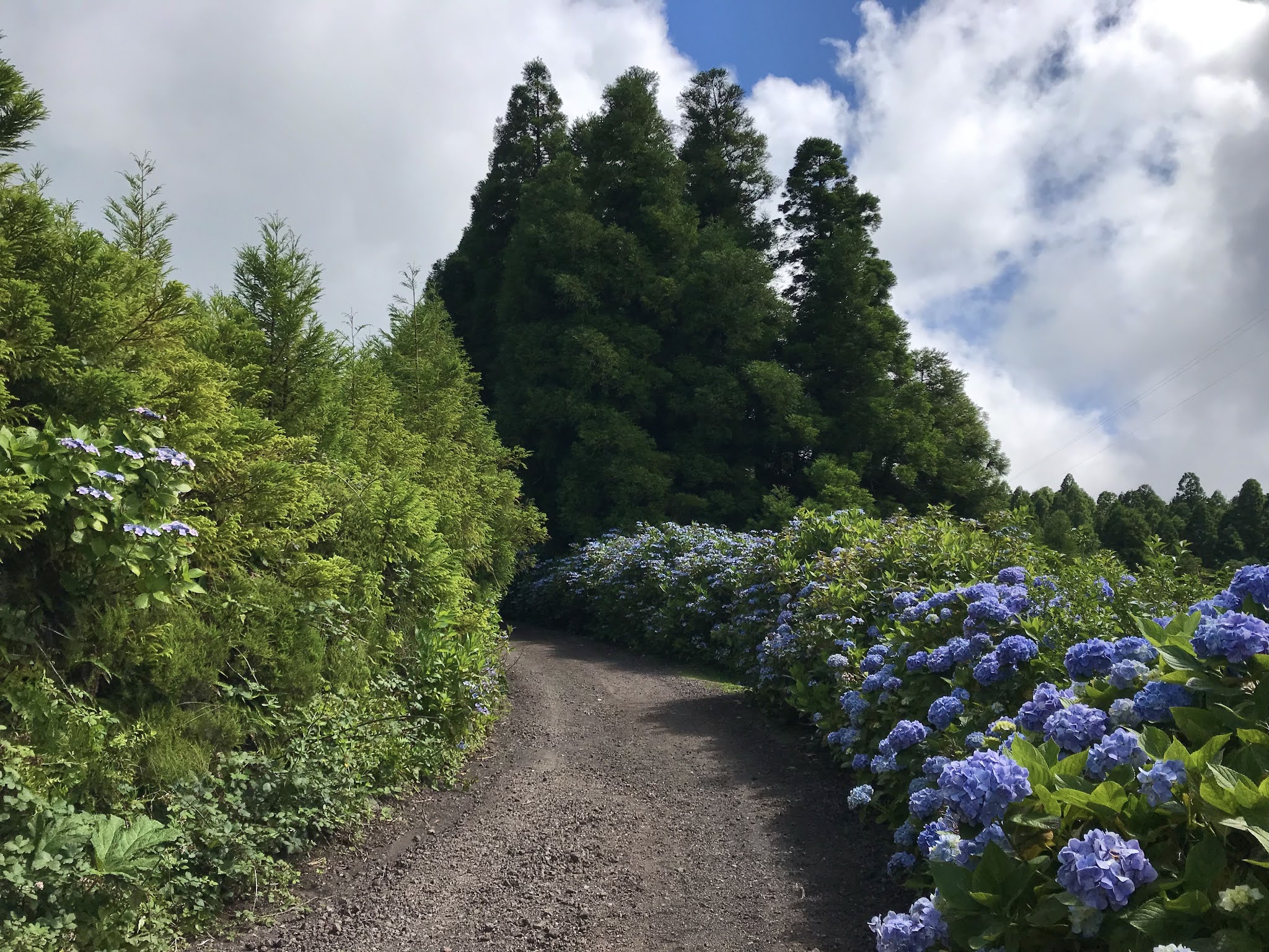 S. Miguel, Açores, Portugal, Azores