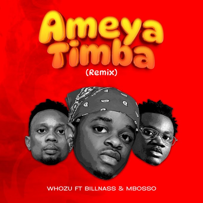 Audio Whozu Ft Billnass & Mbosso - Ameyatimba Mp3 (Remix)