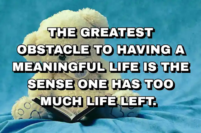 The greatest obstacle to having a meaningful life is the sense one has too much life left.