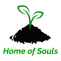 https://homeofsouls.com