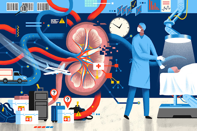 How Can The Phenomenon Of Supercooling Be Used For Storing Transplant Organs?