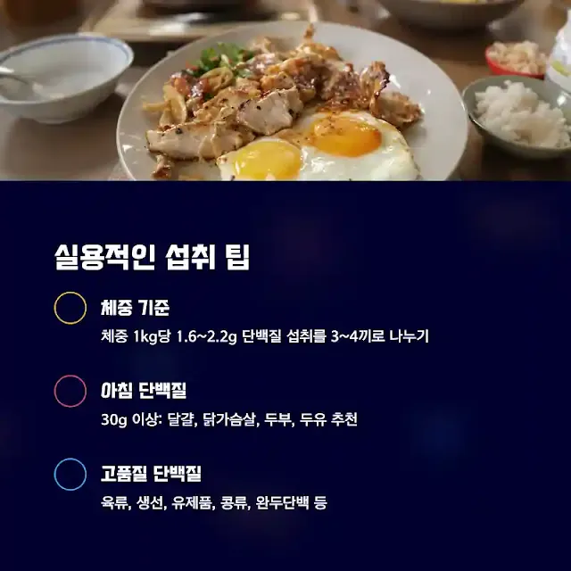 실용적인 섭취 팁