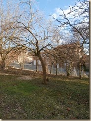 P2170064