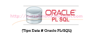 Tipe Data Pada Oracle PL/SQL