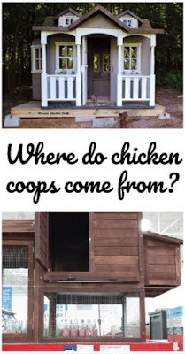 where to buy chicken coops