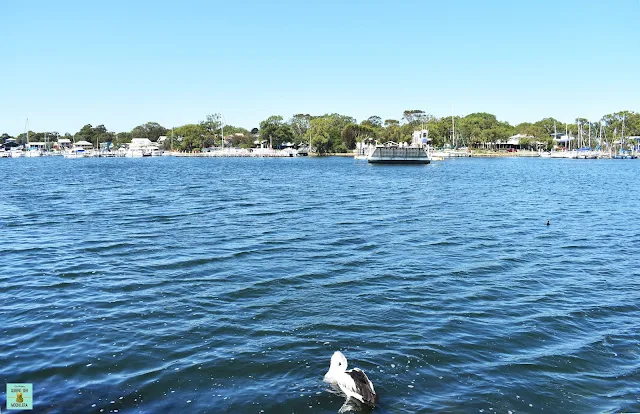 Ferry a Raymond Island, Australia