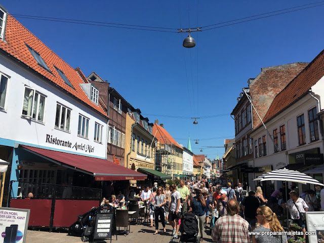 Excursión a Elsinor desde Copenhague