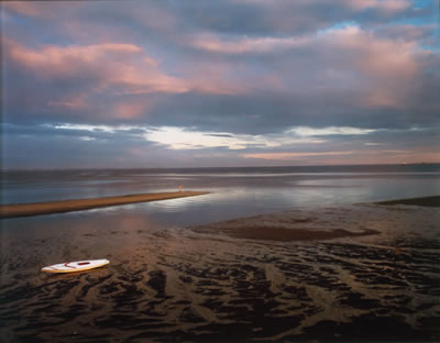 Joel Meyerowitz