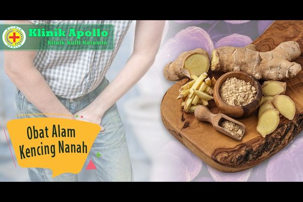 Obat Alami Untuk Penyakit Kencing Nanah