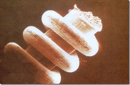 nano-coils
