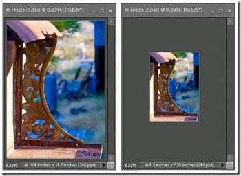 resize4