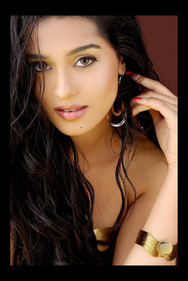 bollywood and tollywood sexy actress amrita rao  hot pics-pictures gallery