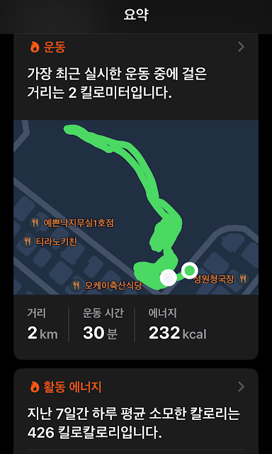 아이폰 건강 앱 후기