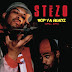 Stezo - Bop Ya Headz (1990-1997) / Kaotic Style - A Diamond In Da Ruff