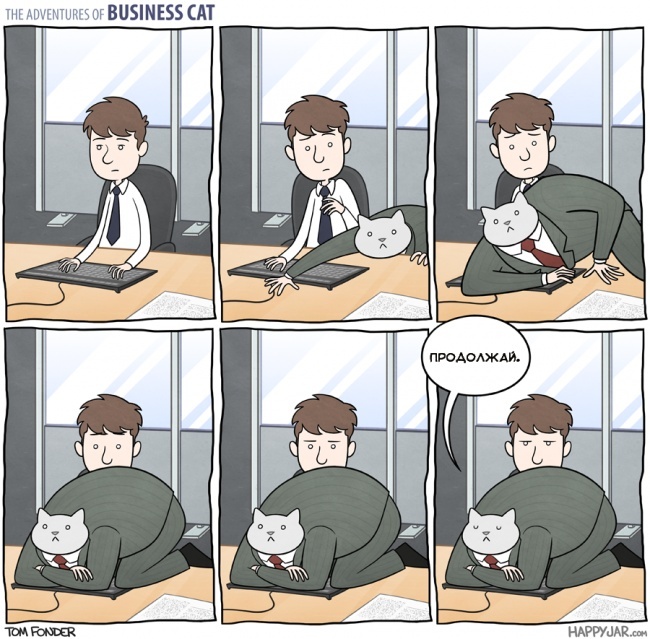 the incredible adventures of a cat businessman