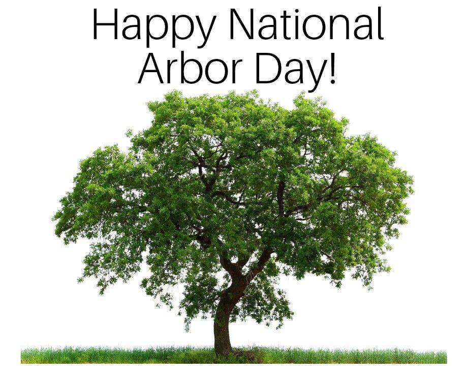 National Arbor Day Wishes Awesome Images, Pictures, Photos, Wallpapers