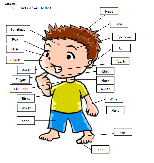 Contoh Percakapan Bahasa Inggris Tentang Nasehat - Tweeter 