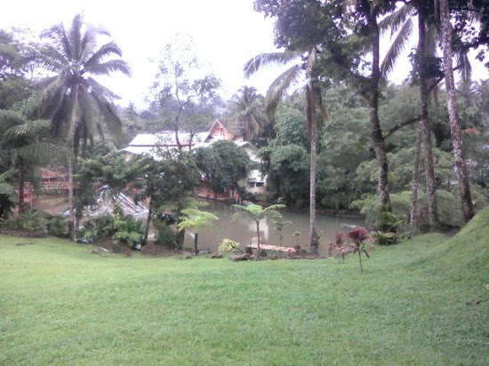 Trees and grass of Batis Aramin Resort