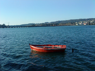 by E.V.Pita... Pontedeume estuary and River Eume / por E.V.Pita Ría de Pontedeume - río Eume ... http://evpita.blogspot.com/2011/03/pontedeume-estuary-ria-de-pontedeume.html