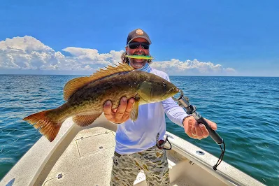 William Toney of Homosassa Inshore Fishing catching grouper with swimming plugs