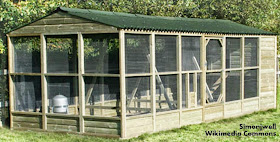 Roots 'n' Shoots: The C Files: How to raise chickens – Housing and