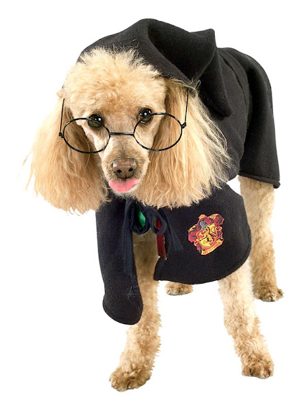 mascotas harry potter