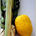 Finding Out Sukkot Lulav Symbolism